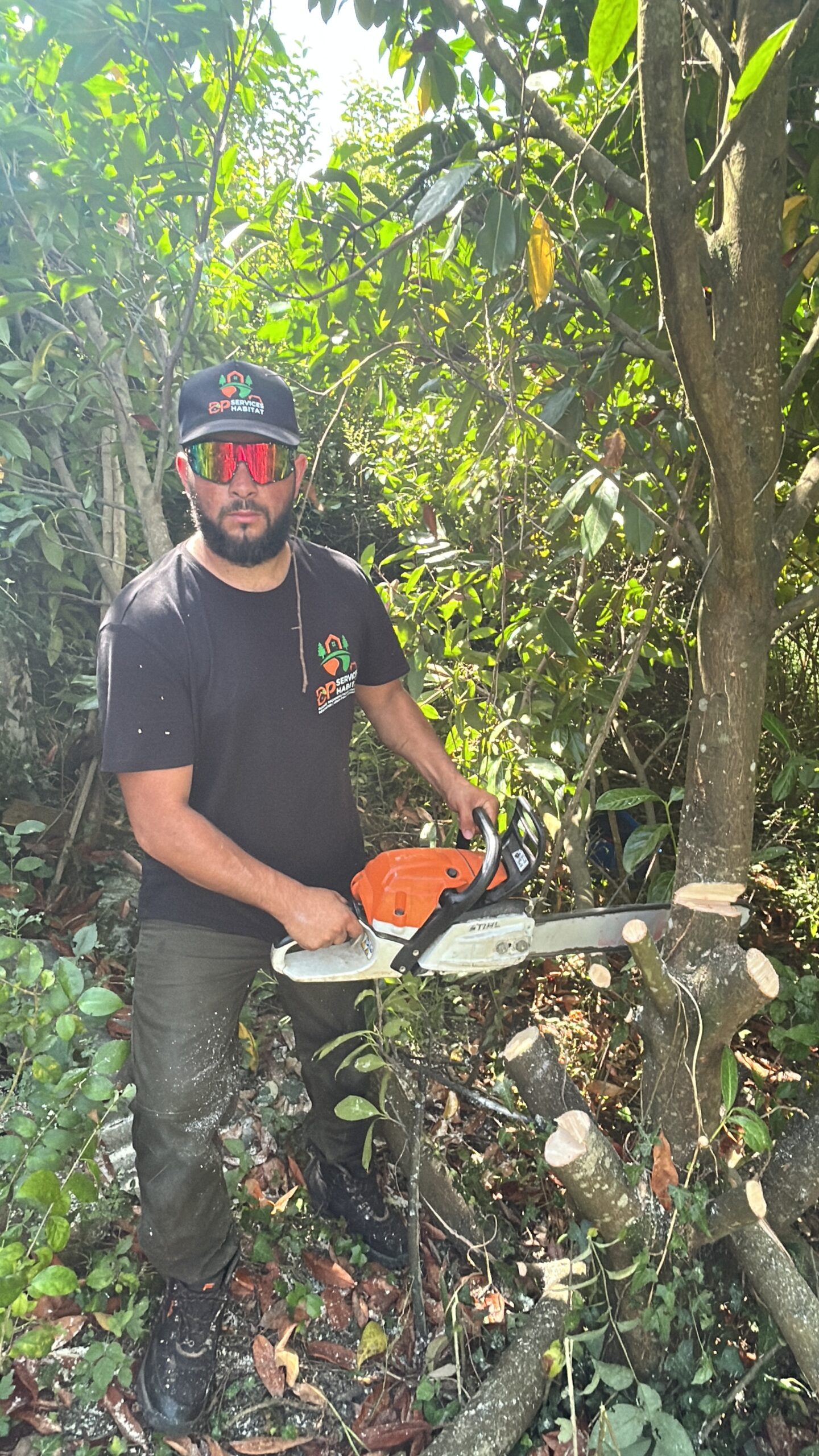 COUVREUR ELAGUEUR PAU 64 COUVERTURE 65 ELAGAGE 40