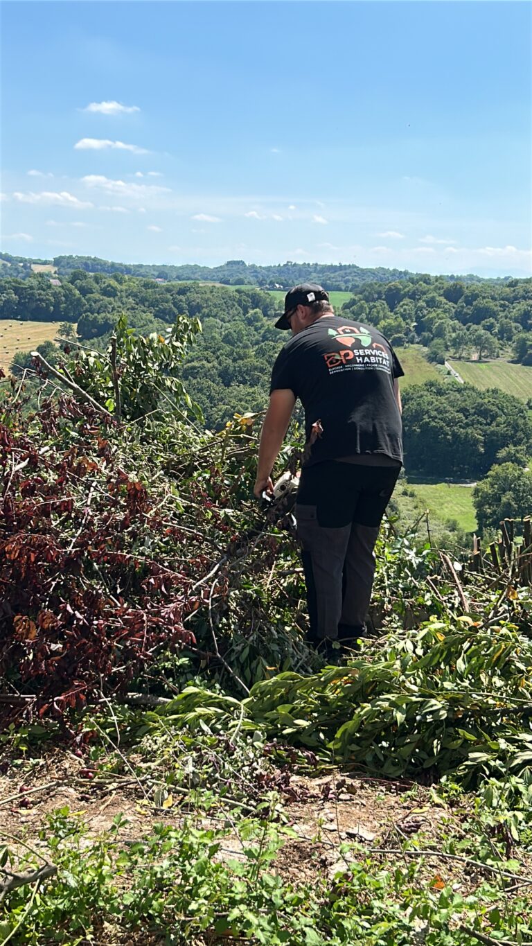 393061D3-5A7A-45C0-91D7-50BBFC39E36D