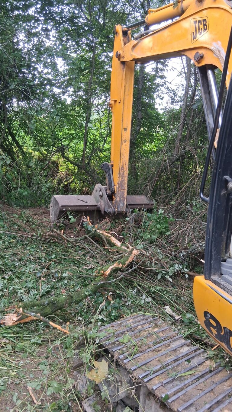 5576f677-68dc-4198-97f4-4e405a6a7a86