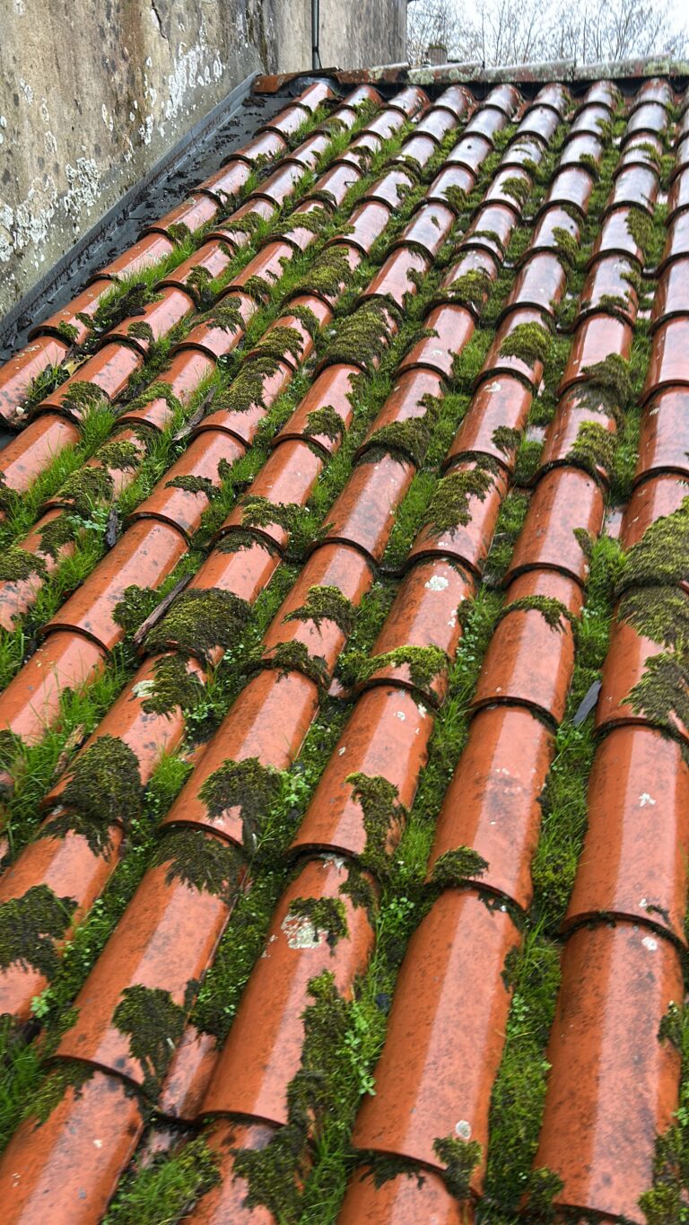 BA31B24E-B82B-4AC9-B7CD-96045CF5440B