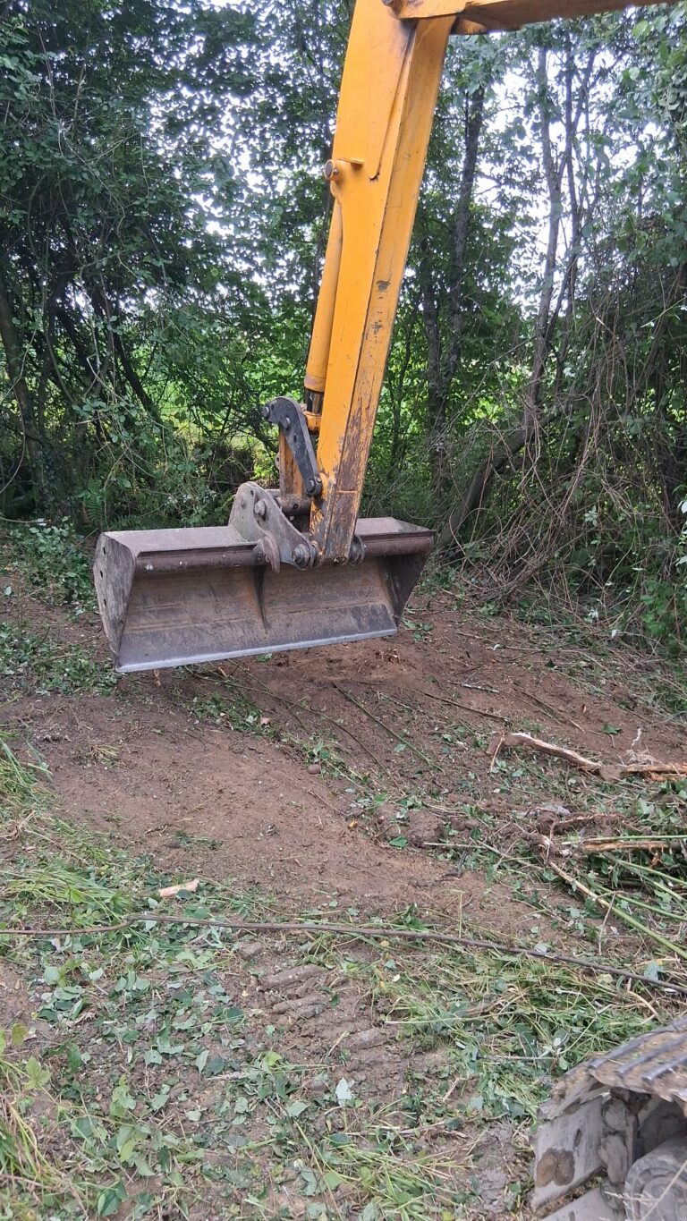 b6466b8e-bdda-4449-aec0-6c7d68dbdde2